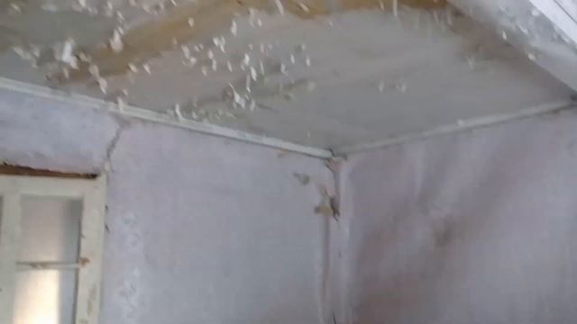 Заброшенный дом. Поиск в -18С. Закрытие сезона 2021. смотреть онлайн