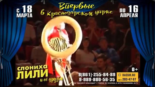 Слониха Лили и её друзья в Краснодарском цирке смотреть онлайн