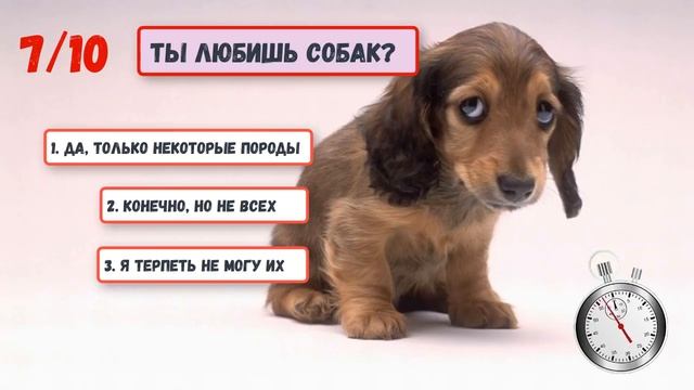 ТЕСТ! Куда ТЫ Попадешь в РАЙ или АД смотреть онлайн