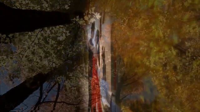 Танцы с листопадом- песня- поёт Анатолий Семененко смотреть онлайн