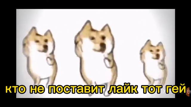 доги танцует смотреть онлайн