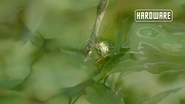 ACID TECHNO JAM July 28, 2020 смотреть онлайн