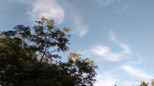 100 рублей в месяц Тариф Интернет Live билайн июль 2022 смотреть онлайн