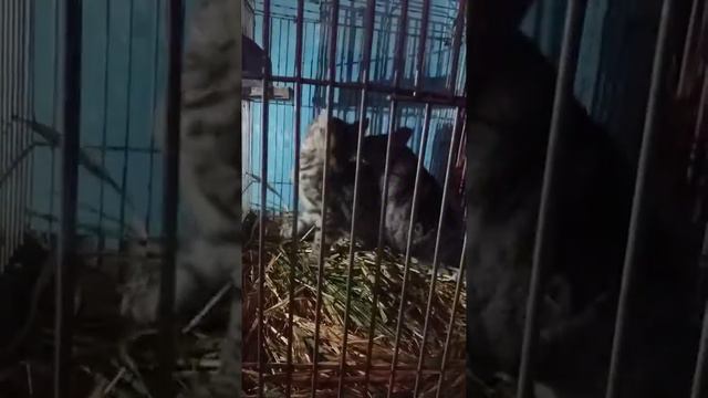 Чтоб не было скучно смотреть онлайн