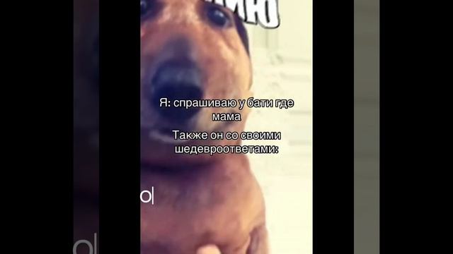 Кто такой поварёнок говнёнок? откуда мем? смотреть онлайн