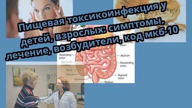 Пищевая токсикоинфекция у детей, взрослых: симптомы, лечение, возбудители, код мкб-10