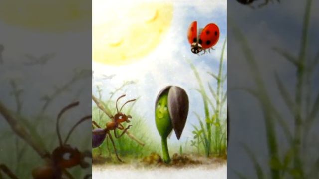 Подсолнух. Медиасказка смотреть онлайн