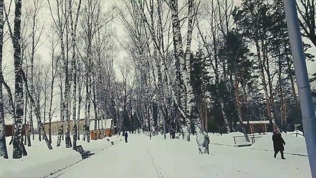 НАЧИНАЮЩИМ , О СРЕДНЕРУССКОЙ ПЧЕЛЕ. часть 2 смотреть онлайн