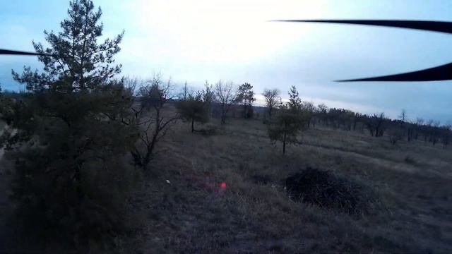 drone quadrocopter flying near a forest, compass mode смотреть онлайн