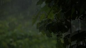 Indian Flute [BANSURI]  Meditation Music | Sounds Of Nature