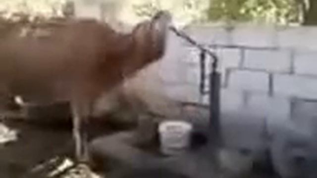 Строительные Загадки