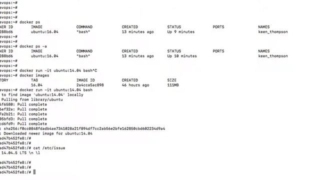 How To Remove Docker Images, and Containers смотреть онлайн
