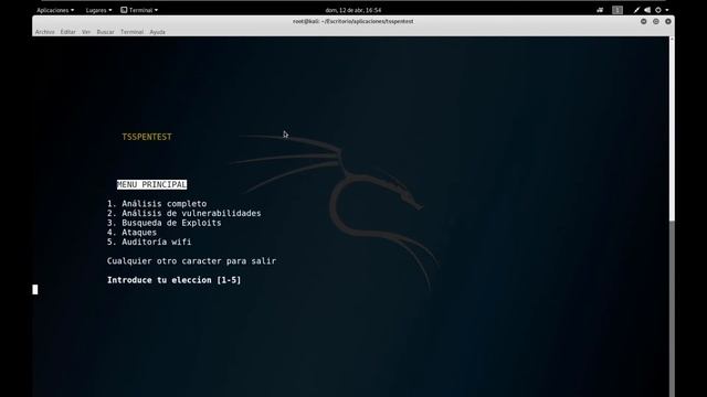 Os enseñamos la herramienta TSSPentest смотреть онлайн