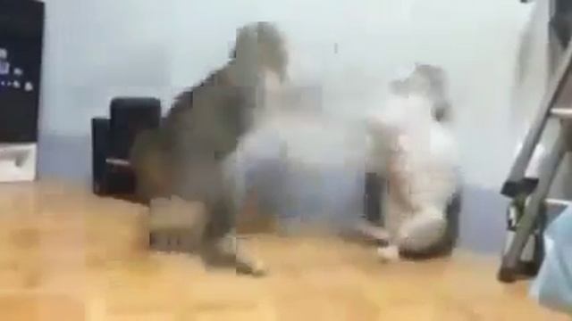 Я ведал много боев ,но такого не видел смотреть онлайн