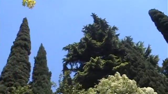 Архив ESV Крым 2005 май. смотреть онлайн