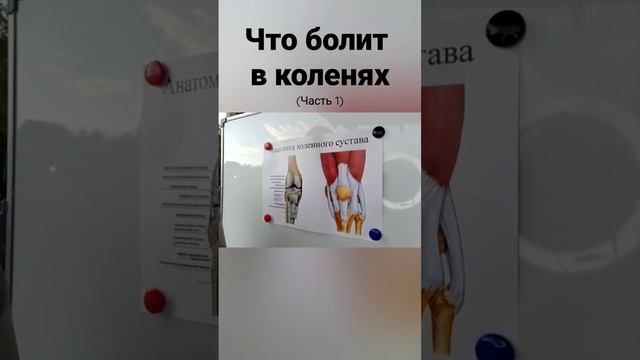 что может болеть в колене - часть 1 смотреть онлайн