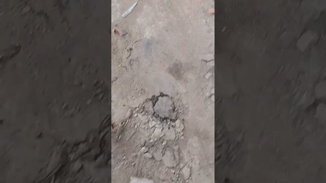 Mahindra scorpio s10 turbocharger oil leakage problem #mahindra #scorpio #turbo #oil leakage #short смотреть онлайн