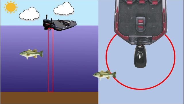 Common Down Imaging Confusions Explained! | Bass Fishing Fish Finder Basics смотреть онлайн