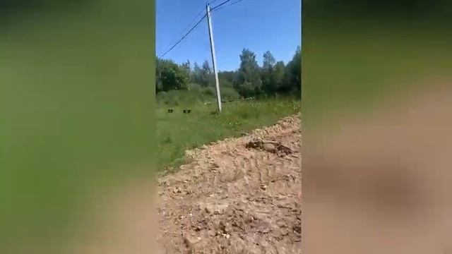 АН "Этажи" СНТ Путеец смотреть онлайн
