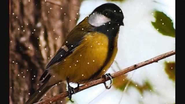 ДЛЯ АКТИВНЫХ УЧАСТНИКОВ ГРУППЫ