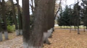 Санаторий «Зеленая роща» обзор территории.