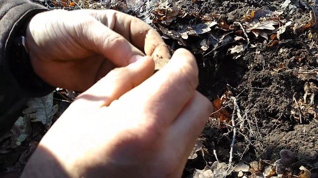 Нашли первую кладуху!!! Эмоции просто зашкаливали!!! смотреть онлайн