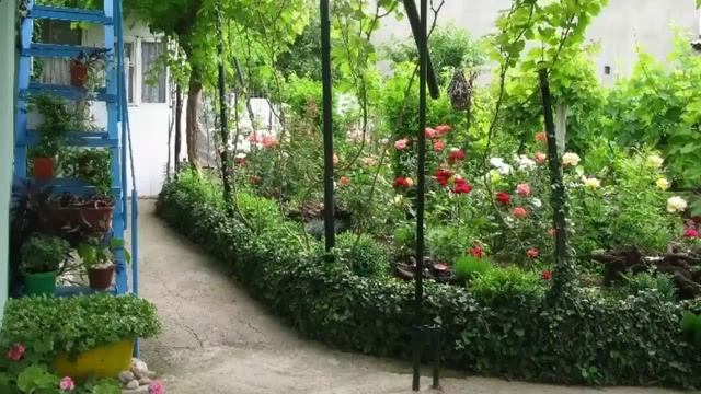 Крым отдых в частном секторе недорого. Кратко о Николаевке. смотреть онлайн