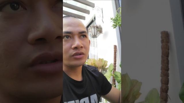 HOW TO FIX CH 38 ERROR CODE LG DUAL INVERTER SPLIT TYPE AIRCON#nicotechchannel