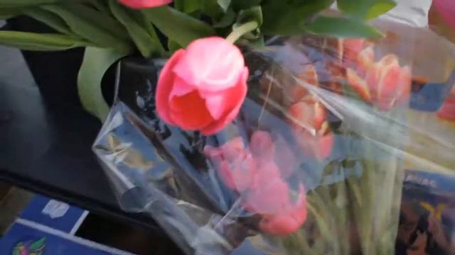 📼 Очень красивый харьковский влог 🌷 Накануне 8 марта | ретро влог №2 смотреть онлайн