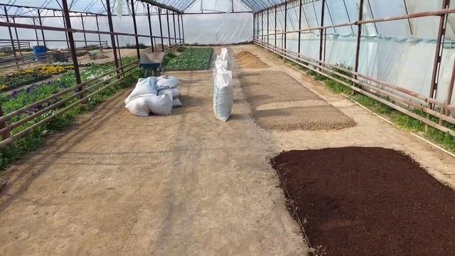 МОЙ СЕКРЕТ ХОРОШИХ ВСХОДОВ. ?Почему мы сеем в такую почву? как и чем обеззараживаем почву до посева смотреть онлайн
