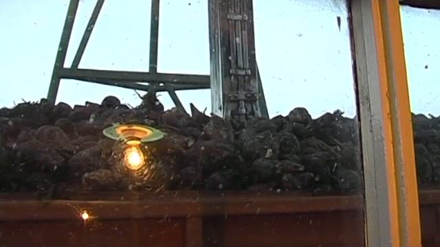 "Управление свеклопунктом" для сахарного завода смотреть онлайн