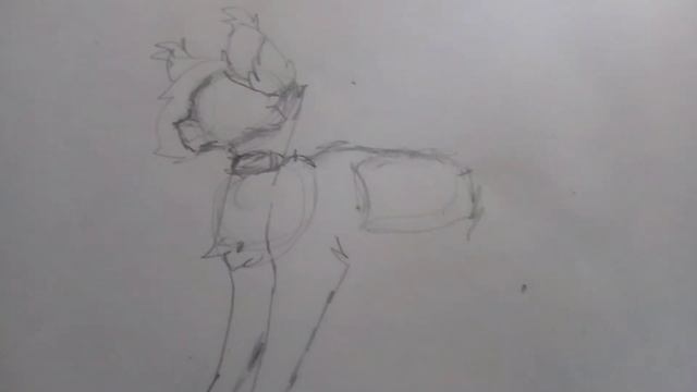 °Как нарисовать кота воителя °