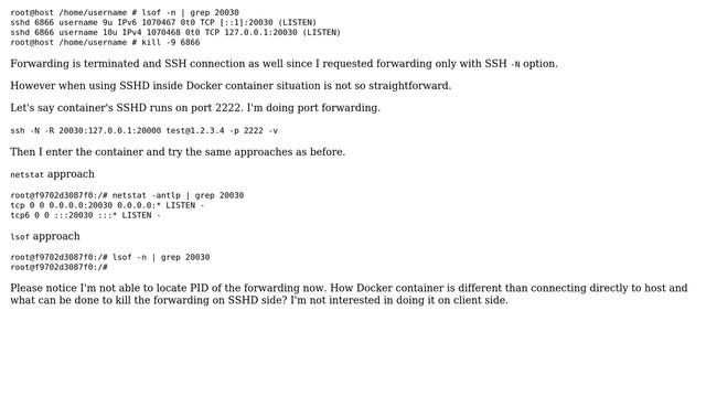 PID of SSH port forwarding inside Docker not available смотреть онлайн