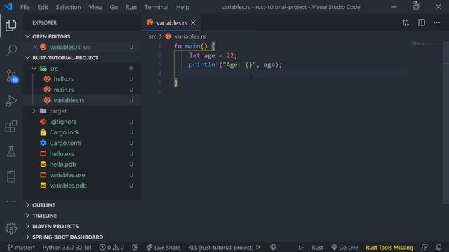 Rust Programming Tutorial - Variables смотреть онлайн