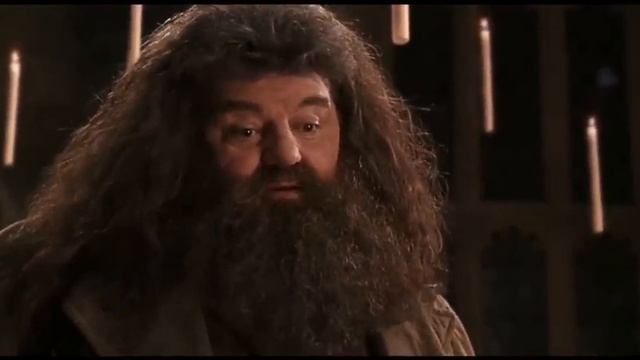 'There's no Hogwarts without you, Hagrid' | Harry Potter and the Chamber of Secrets смотреть онлайн