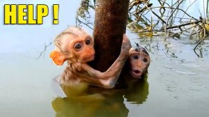 Уникальные кадры спасения животных. Люди помогают животным оказавшимся в беде #3