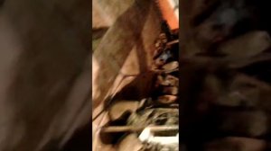 Двери от ваз2110 (десятки) на приору.