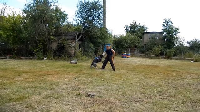 26 07 2014 Орел тренировка смотреть онлайн