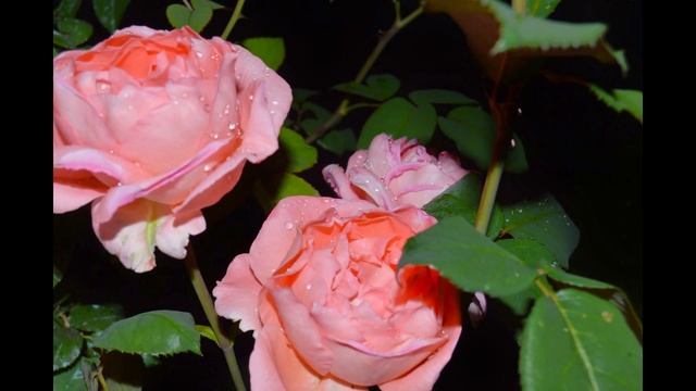 2013 06 06 - 07 08 фотки Люды на даче (ночь) смотреть онлайн