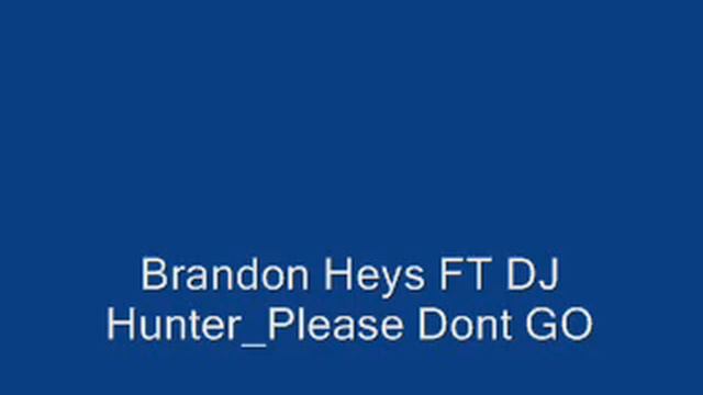 Brandon Heys FT DJ Hunter Please Dont GO Mix Basshunter MID