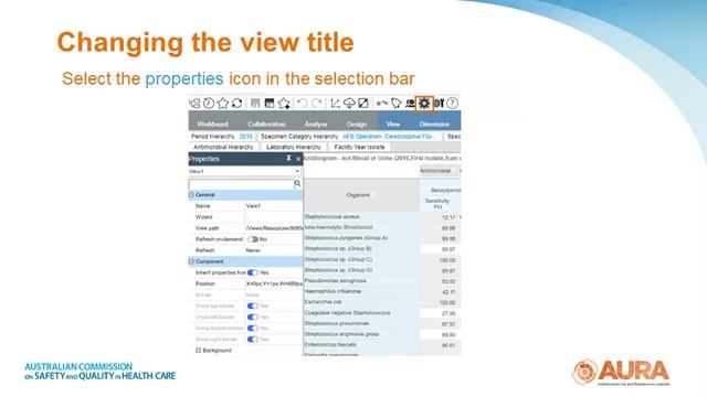 APAS Webinar 3.8 - Change the view title смотреть онлайн