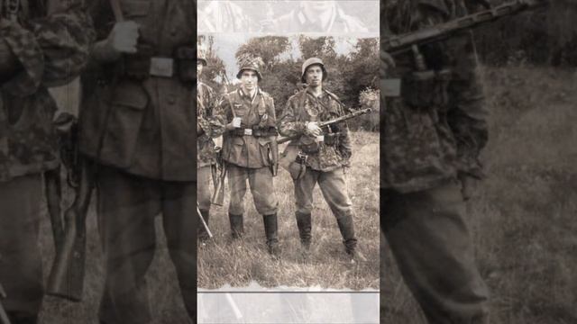 Как вычисляли диверсантов из группы "Бранденбург 800" #shorts смотреть онлайн