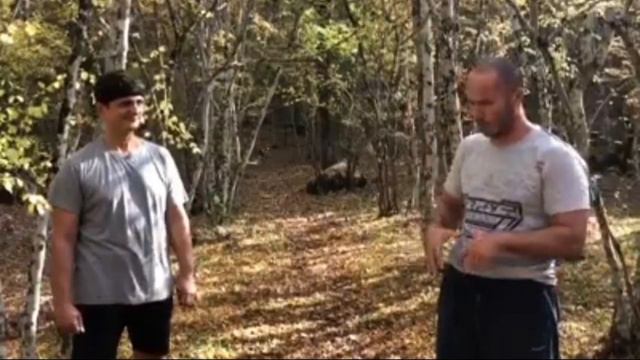 Снизить уровень холестерина в крови без препаратов Тамир Шейх
