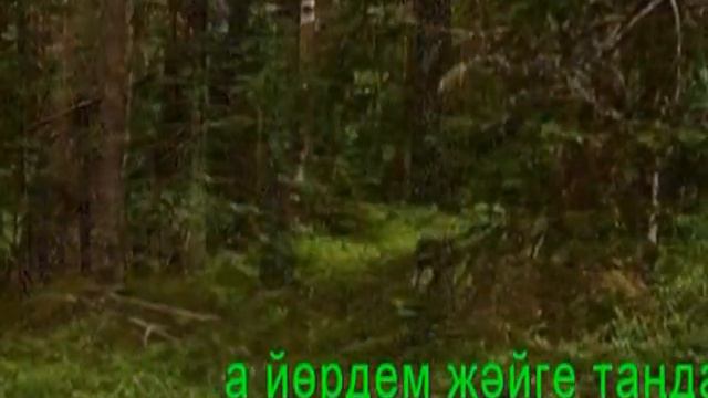 «УРМАННАРДА ЙӨРДЕМ» (КАРАОКЕ) смотреть онлайн