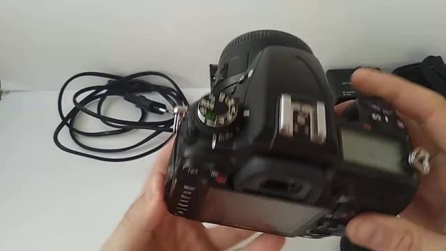 VID 20200305 164338 смотреть онлайн