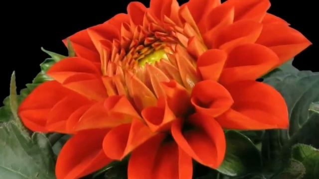 Глава 21 В Твоих Я Покоюсь Руках Джоэл Остин Стать Ещё Лучше #аудиокниги #книги смотреть онлайн