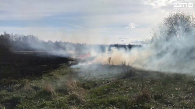 13.05.2021 В Силламяэ пожар - горела трава смотреть онлайн