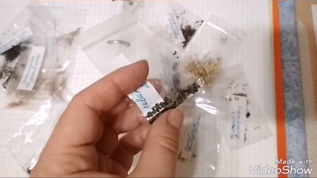 Как отправить СЕМЕНА по ПОЧТЕ! Решение найдено! смотреть онлайн