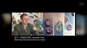 Научно-популярный фильм «ГРАВИТАЦИЯ»