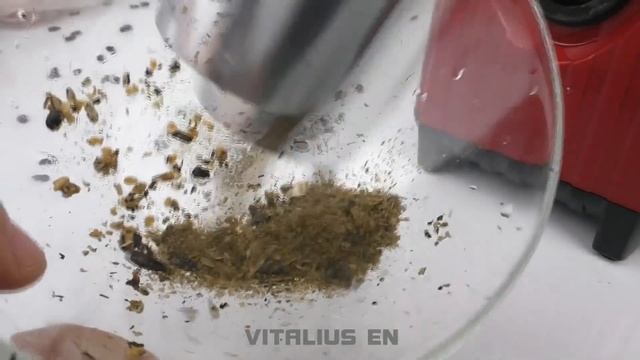 EXPERIMENT: MEAT GRINDER VS EGGS смотреть онлайн